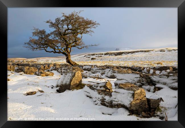 Snow at the Winskill Stones Framed Print by Andrew Ray