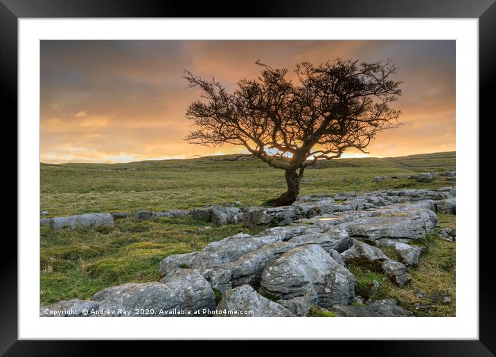 Sunrise at the Winskill Stones Framed Mounted Print by Andrew Ray