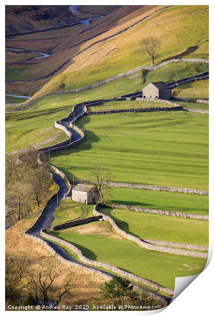 Brootes Lane Barns (Arncliffe) Print by Andrew Ray