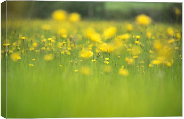 The Hay Meadow Canvas Print by John Malley