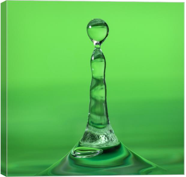 Water droplet landing in water on a green backgrou Canvas Print by Dave Collins