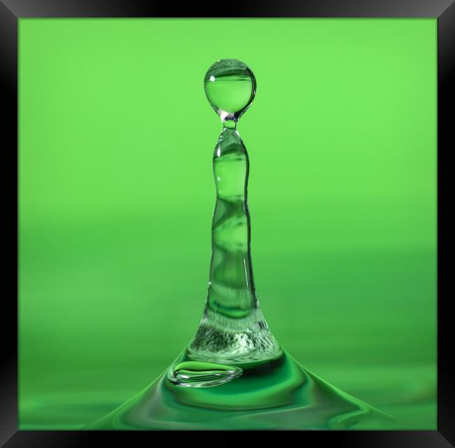 Water droplet landing in water on a green backgrou Framed Print by Dave Collins