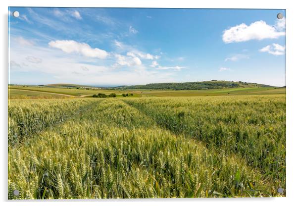 Barley Lines Acrylic by Malcolm McHugh