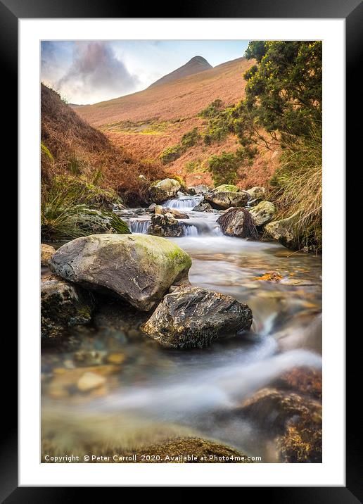 A View To Causey Pike Framed Mounted Print by Peter Carroll