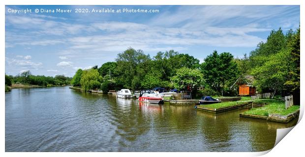 Picturesque River Waveney  Print by Diana Mower