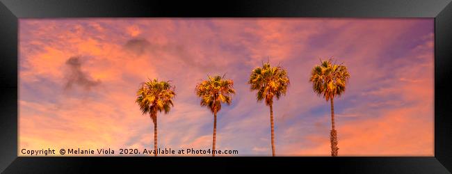 Palm trees sunset | panoramic view Framed Print by Melanie Viola