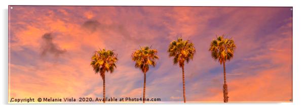 Palm trees sunset | panoramic view Acrylic by Melanie Viola