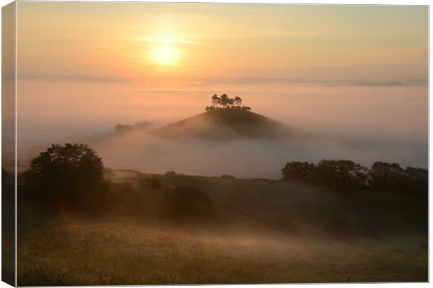 Misty Morning in Dorset Canvas Print by David Neighbour