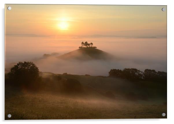 Misty Morning in Dorset Acrylic by David Neighbour
