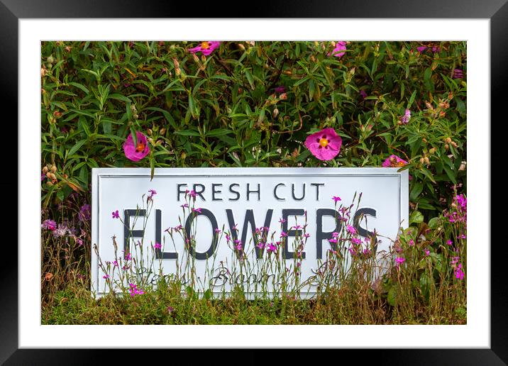 Garden flowers with fresh cut flower sign 0711 Framed Mounted Print by Simon Bratt LRPS