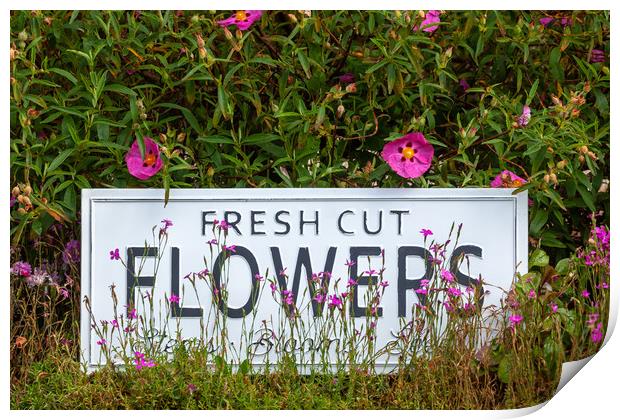 Garden flowers with fresh cut flower sign 0711 Print by Simon Bratt LRPS