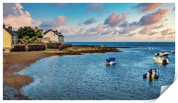 The Parrog, Newport, Pembrokeshire, Wales, UK Print by Mark Llewellyn