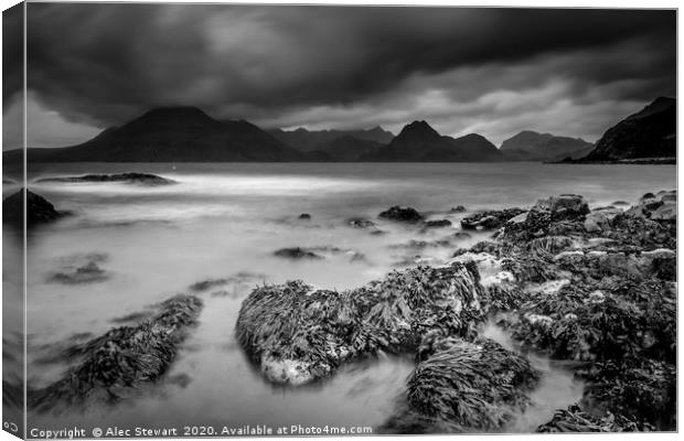Elgol and the Black Cuillins Canvas Print by Alec Stewart
