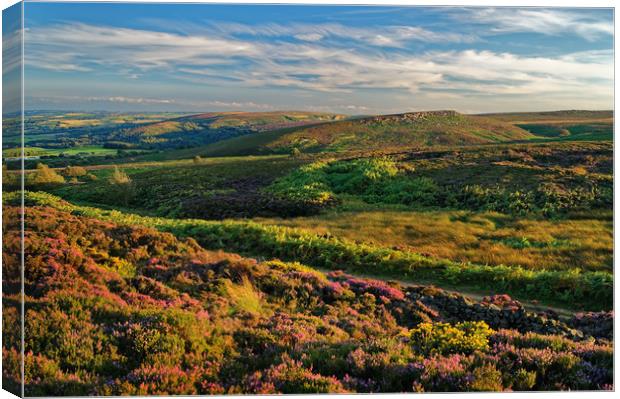 Burbage Moor and Houndkirk Hill                    Canvas Print by Darren Galpin