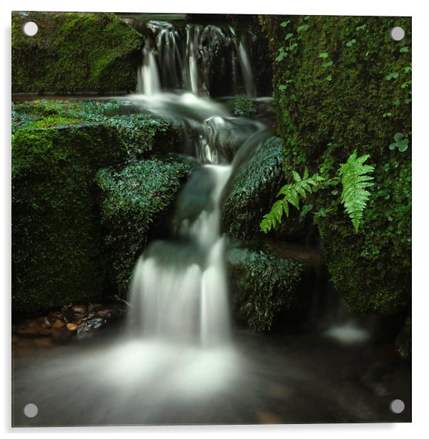 Enchanting Green Waterfall Acrylic by Jim Round