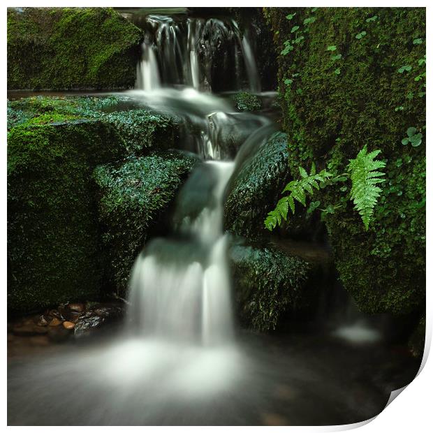 Enchanting Green Waterfall Print by Jim Round