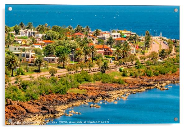 Landscape Aerial View Punta Colorada Uruguay Acrylic by Daniel Ferreira-Leite