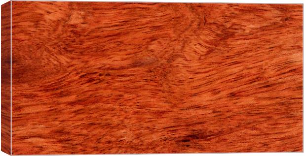Solid Brazilian cherry wood texture  Canvas Print by Thomas Baker
