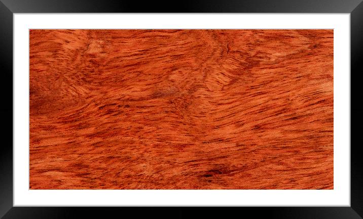 Solid Brazilian cherry wood texture  Framed Mounted Print by Thomas Baker
