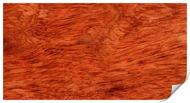 Solid Brazilian cherry wood texture  Print by Thomas Baker