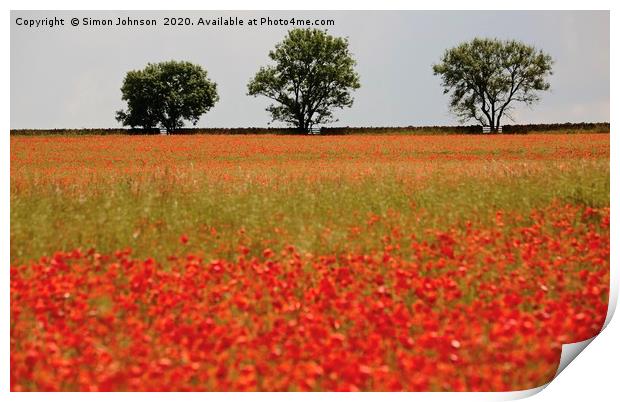 Three trees and poppies Print by Simon Johnson