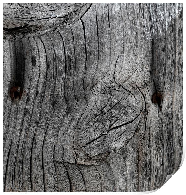 Aged wood texture background in filled frame forma Print by Thomas Baker