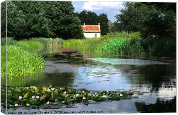Water Lily Cottage Canvas Print by Alison Chambers