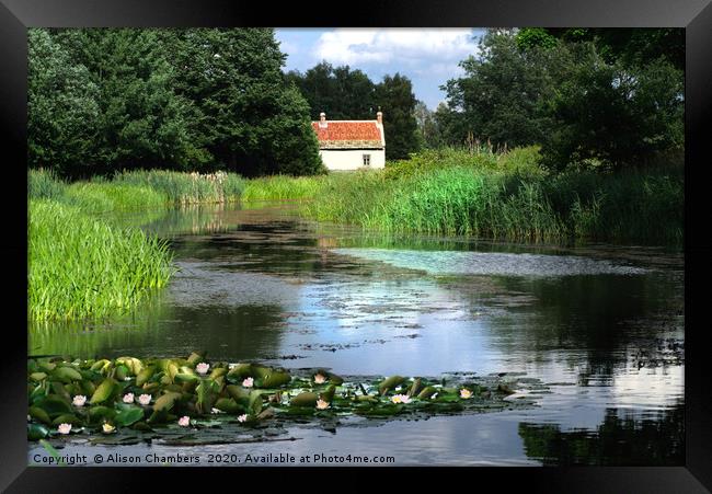 Water Lily Cottage Framed Print by Alison Chambers