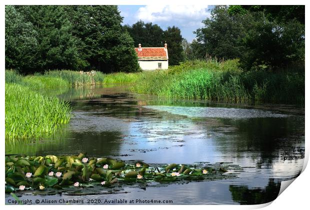 Water Lily Cottage Print by Alison Chambers