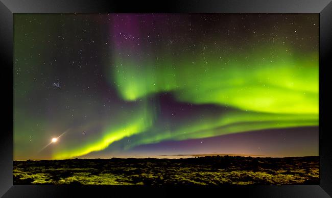 Green and Purple Fire Framed Print by Gareth Burge Photography