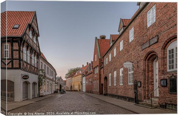 An old cobbled street in the medieval town of Ribe Canvas Print by Stig Alenäs