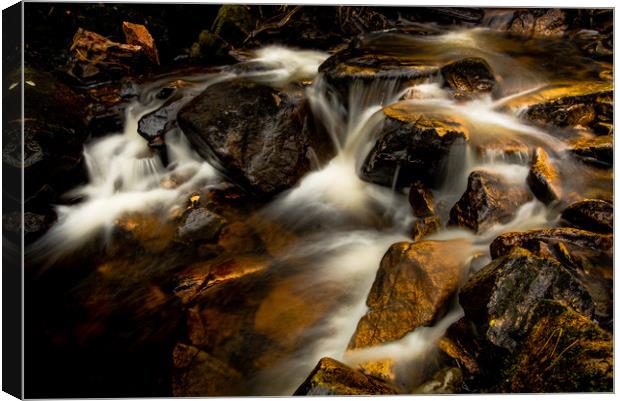 Go with the Flow Canvas Print by John Malley