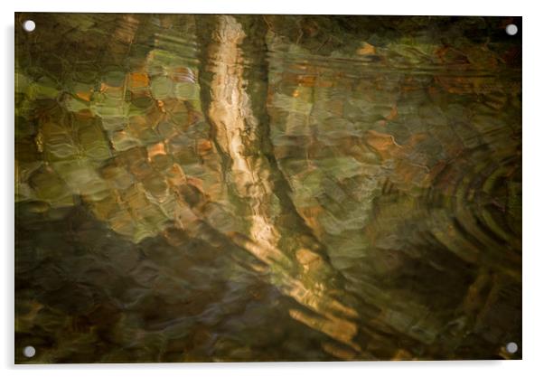 Flow in Motion Acrylic by John Malley