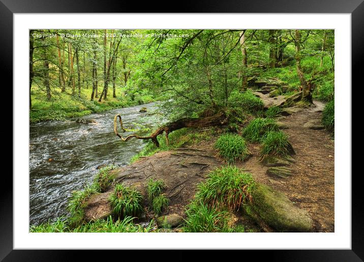 River near Hardcastle Crags Framed Mounted Print by Diana Mower