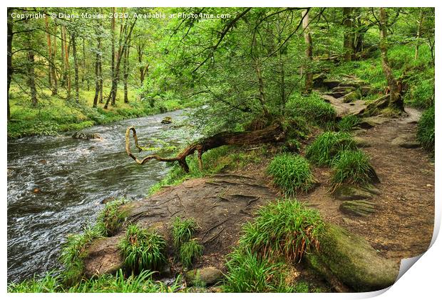 River near Hardcastle Crags Print by Diana Mower