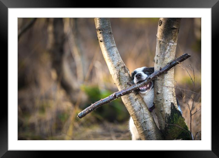 Facing the Challenges of Life Framed Mounted Print by John Malley