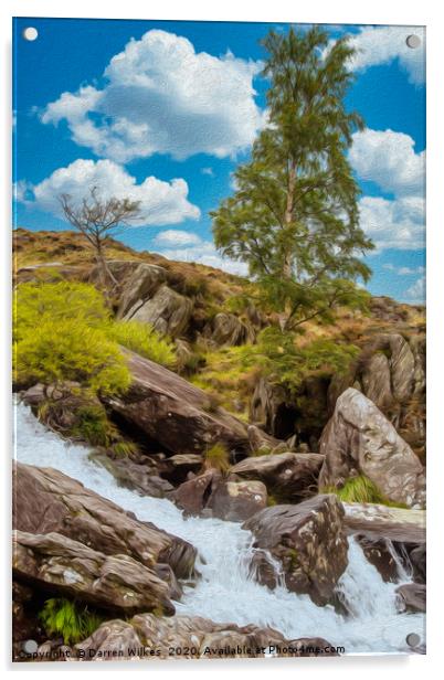 Idwal Waterfall  Acrylic by Darren Wilkes
