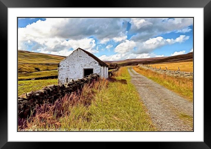 "A country lane in Teesdale" Framed Mounted Print by ROS RIDLEY