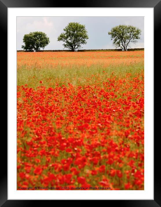 Three Trees and poppies Framed Mounted Print by Simon Johnson