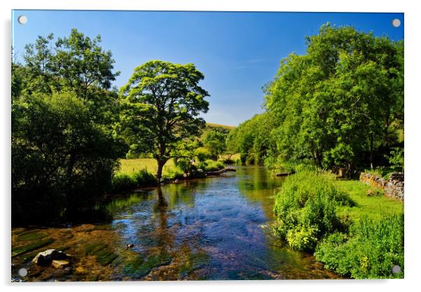 River Wye near Monsal Dale                       Acrylic by Darren Galpin