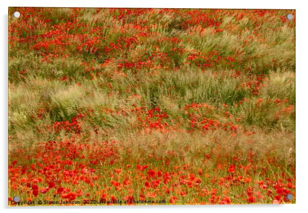 Wind blown poppies Acrylic by Simon Johnson