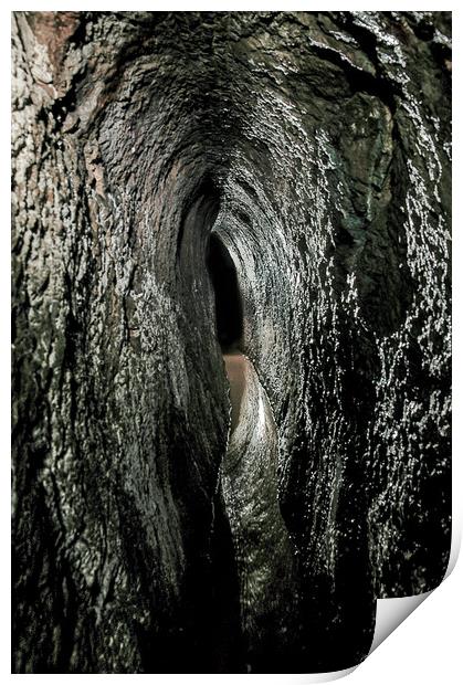 Deep Underground Print by John Malley