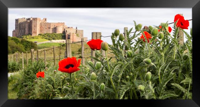 Bamburgh Panorama Framed Print by Northeast Images