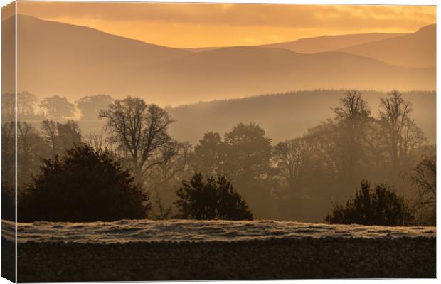 Early Morning mist in the hills. Canvas Print by Dave Collins