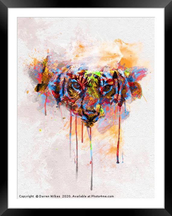 Tiger Spill Pop Art  Framed Mounted Print by Darren Wilkes