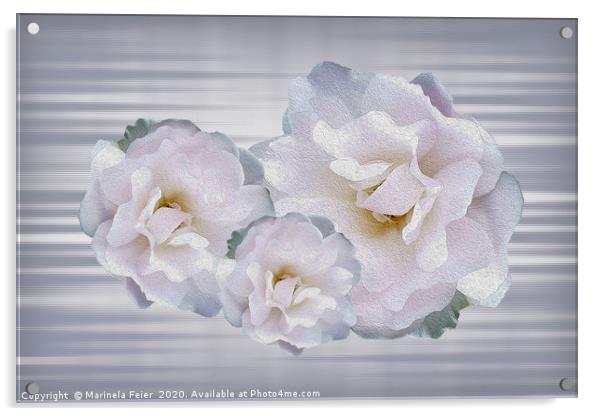 Pink gray roses Acrylic by Marinela Feier