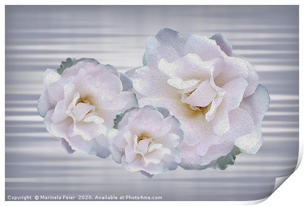 Pink gray roses Print by Marinela Feier