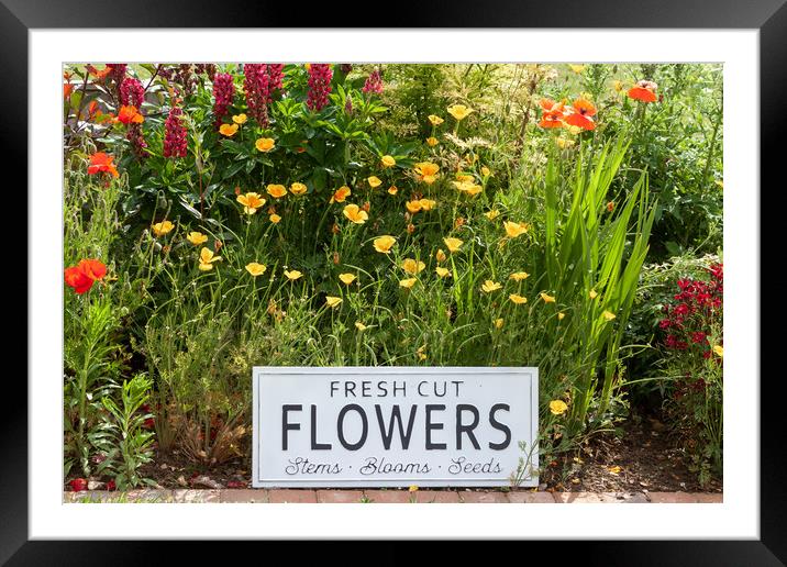 Garden flowers with fresh cut flower sign 0747 Framed Mounted Print by Simon Bratt LRPS