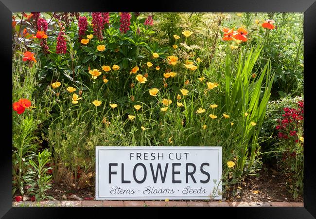 Garden flowers with fresh cut flower sign 0747 Framed Print by Simon Bratt LRPS
