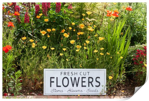 Garden flowers with fresh cut flower sign 0747 Print by Simon Bratt LRPS